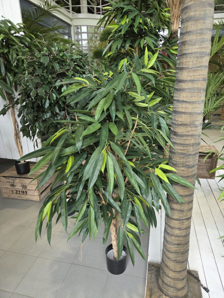 Искусственное растение Ficus Longifolia Royal Tree / Фикус Лонгифолия H150cm NKoop FW