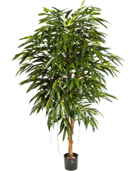 Искусственное растение Ficus Longifolia Royal Tree / Фикус Лонгифолия H150cm