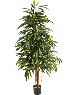 Искусственное растение Ficus Longifolia Pyramid / Фикус Лонгифолия пирамида H150cm