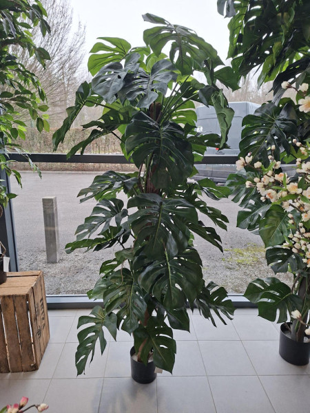 Искусственное растение Monstera Deliciosa Column / Монстера Делициоза H190cm NKoop FW