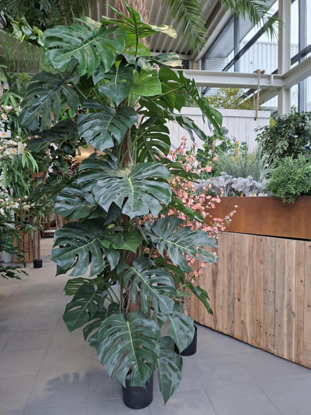Искусственное растение Monstera Deliciosa Column / Монстера Делициоза H190cm NKoop FW