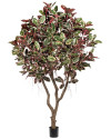Искусственное дерево Фикус Эластика Red Ruby H295cm NKoop FW