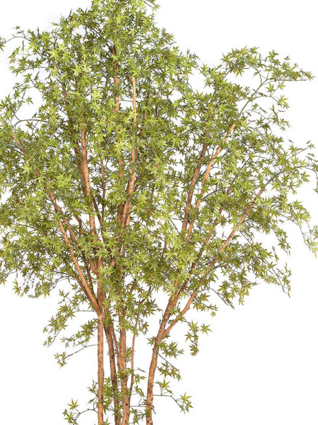 Искусственное дерево Клён Японский Butterfly Tree H330cm NKoop FW