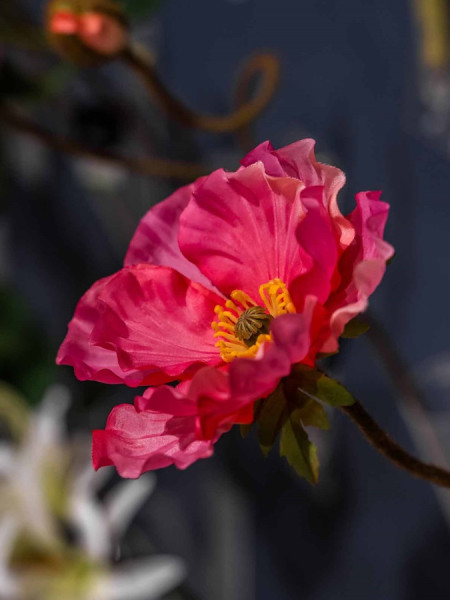 Artificial flower Poppy spray Pink H74cm NKoop EEG