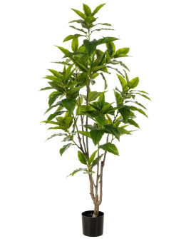 Искусственное растение Фикус Лонгифолия H180cm