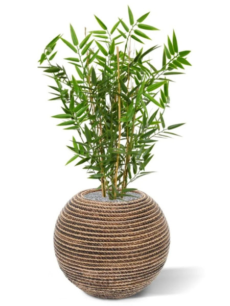 Artificial Japanese Bamboo Plant H60cm NKoop DP