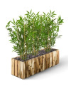 Artificial Japanese Bamboo Plant H60cm NKoop DP