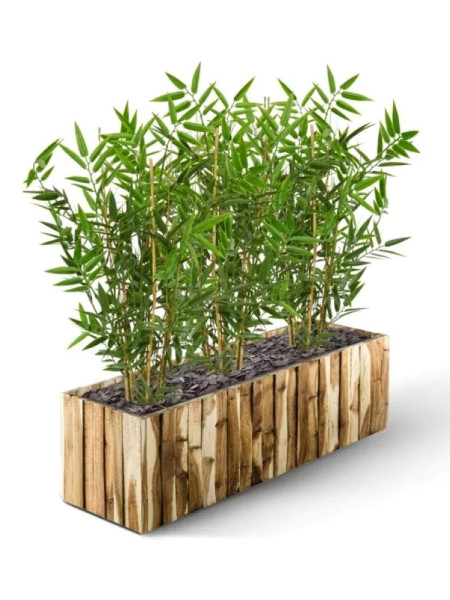 Artificial Japanese Bamboo Plant H60cm NKoop DP