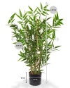 Artificial Japanese Bamboo Plant H60cm NKoop DP