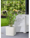 Artificial Japanese Bamboo Plant H60cm NKoop DP