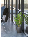 Artificial Japanese Bamboo Plant H60cm NKoop DP