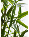 Artificial Japanese Bamboo Plant H60cm NKoop DP