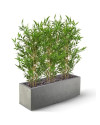 Artificial Japanese Bamboo Plant H90cm NKoop DP