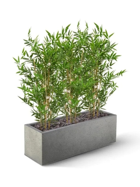 Artificial Japanese Bamboo Plant H90cm NKoop DP