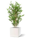 Artificial Japanese Bamboo Plant H90cm NKoop DP