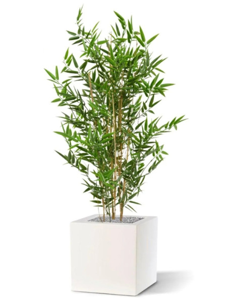 Artificial Japanese Bamboo Plant H90cm NKoop DP