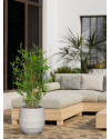 Artificial Japanese Bamboo Plant H90cm NKoop DP