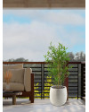 Artificial Japanese Bamboo Plant H90cm NKoop DP