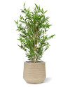 Artificial Japanese Bamboo Plant H90cm NKoop DP