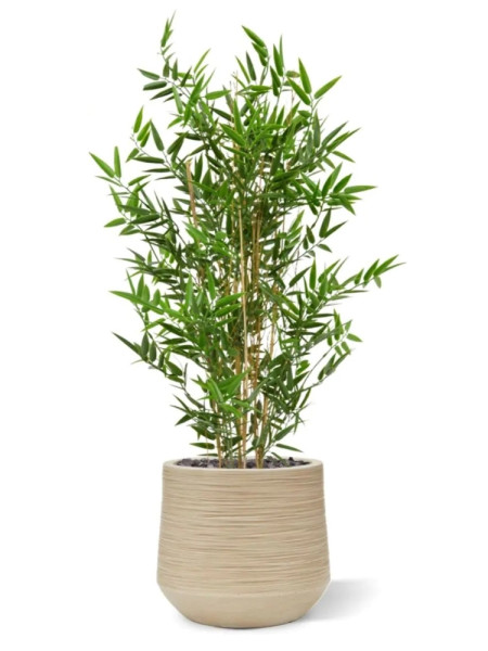 Artificial Japanese Bamboo Plant H90cm NKoop DP