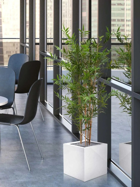 Artificial Japanese Bamboo Plant H120cm NKoop DP