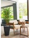 Artificial Japanese Bamboo Plant H120cm NKoop DP