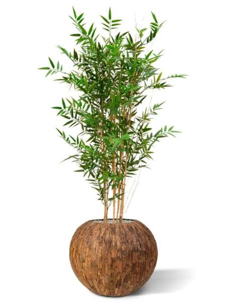 Artificial Japanese Bamboo Plant H120cm NKoop DP