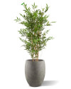 Artificial Japanese Bamboo Plant H120cm NKoop DP