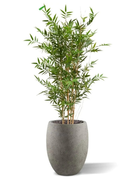 Artificial Japanese Bamboo Plant H120cm NKoop DP