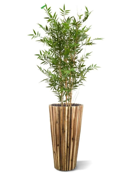 Artificial Japanese Bamboo Plant H120cm NKoop DP