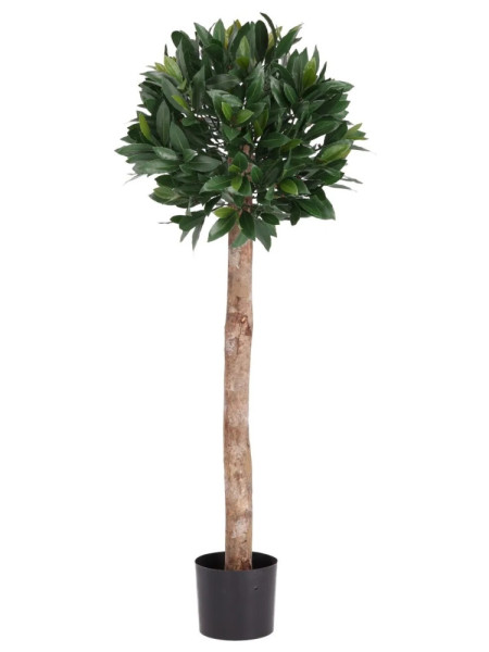 Штучне Лаврове дерево H45cm NKoop DP