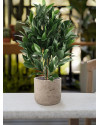 Штучний лавровий кущ H50cm NKoop DP