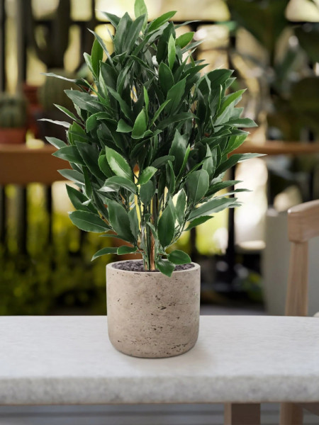 Штучний лавровий кущ H50cm NKoop DP