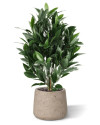 Штучний лавровий кущ H50cm NKoop DP