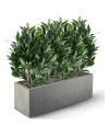 Штучний лавровий кущ H50cm NKoop DP