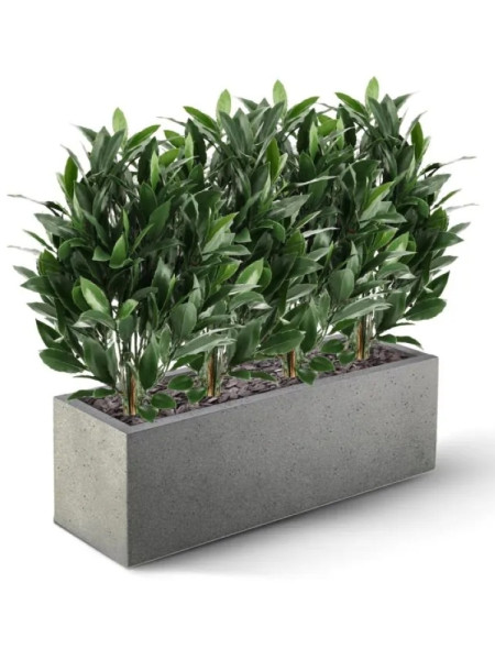 Штучний лавровий кущ H50cm NKoop DP