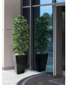 Artificial Laurel Bay column tree H125cm NKoop DP