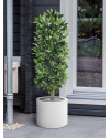 Artificial Laurel Bay column tree H125cm NKoop DP