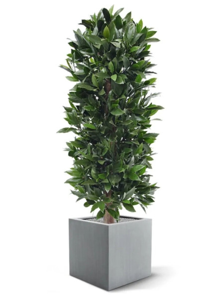 Artificial Laurel Bay column tree H125cm NKoop DP
