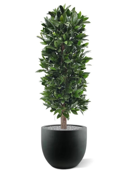 Artificial Laurel Bay column tree H125cm NKoop DP