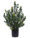 Artificial Boxwood hedging H50cm NKoop DP