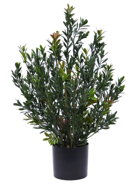 Artificial Boxwood hedging H50cm NKoop DP