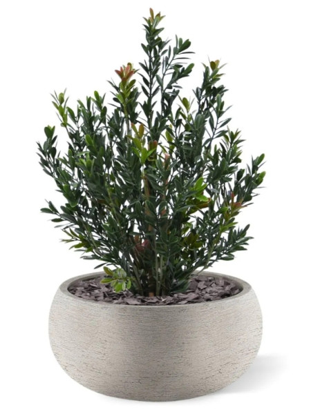 Artificial Boxwood hedging H50cm NKoop DP