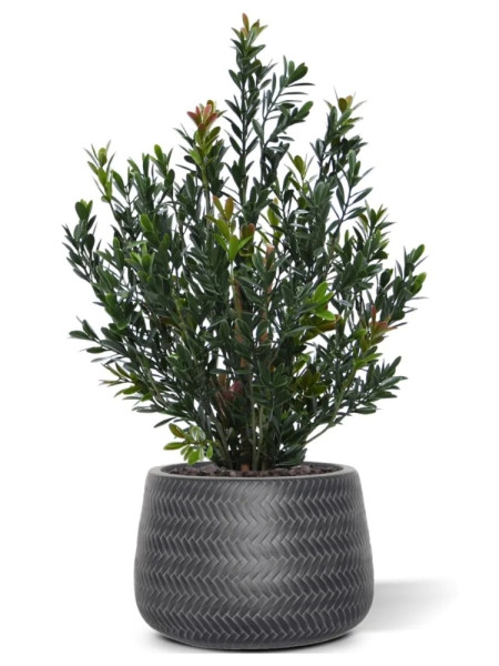 Artificial Boxwood hedging H50cm NKoop DP