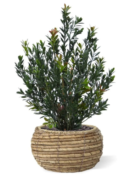 Artificial Boxwood hedging H50cm NKoop DP
