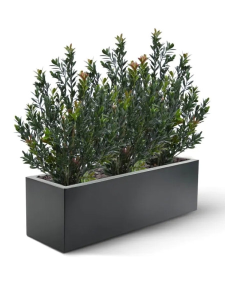 Artificial Boxwood hedging H50cm NKoop DP