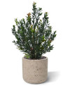 Artificial Boxwood hedging H50cm NKoop DP