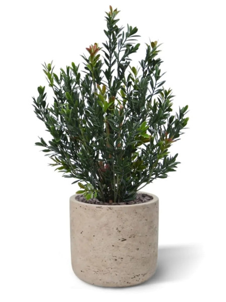 Artificial Boxwood hedging H50cm NKoop DP