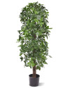 Штучна  Шеффлера колона H120cm NKoop DP