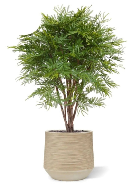 Искусственное дерево Мимоза H110cm NKoop DP